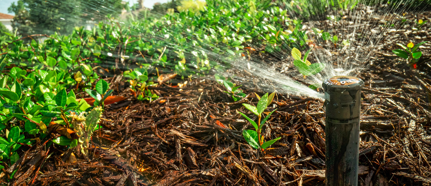 irrigation system startups in Lake Forest, IL